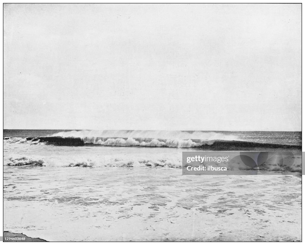 Antique photograph: New Jersey coast
