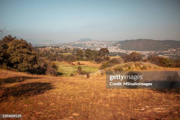 landscape of field in mexico - mexican culture stock pictures, royalty-free photos & images