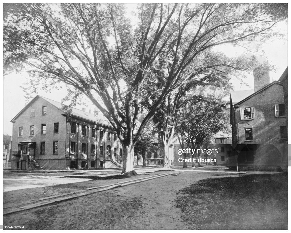 Photographie antique : Université de Yale, New Haven, Connecticut