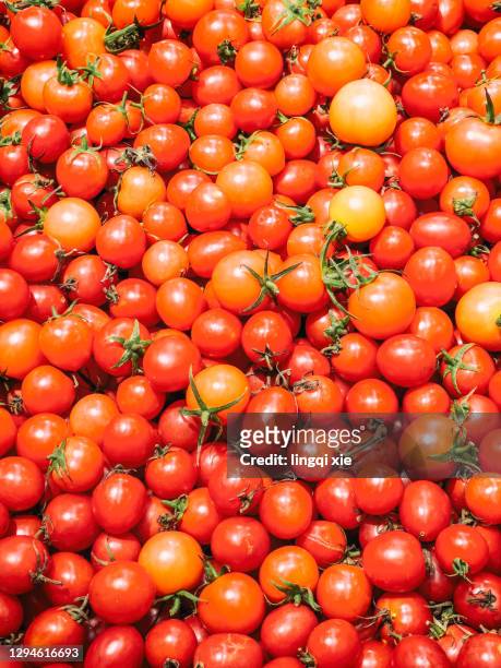 piles of cherry tomatoes - cherry tomato stock pictures, royalty-free photos & images