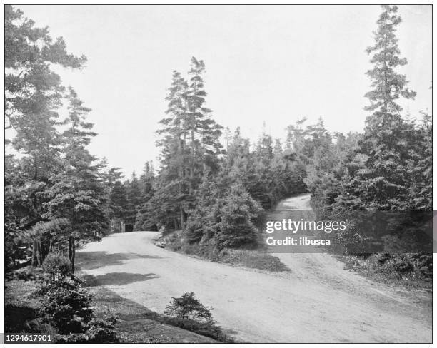 antique photograph: point pleasant park, halifax, nova scotia - halifax nova scotia stock illustrations