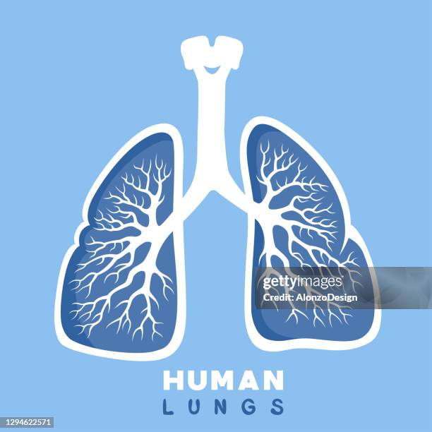 ilustraciones, imágenes clip art, dibujos animados e iconos de stock de pulmones humanos. diseño conceptual. - neumonía