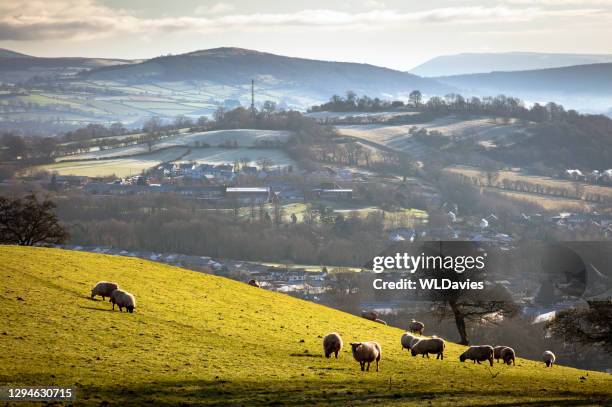 rural welsh landscape - welsh hills stock pictures, royalty-free photos & images