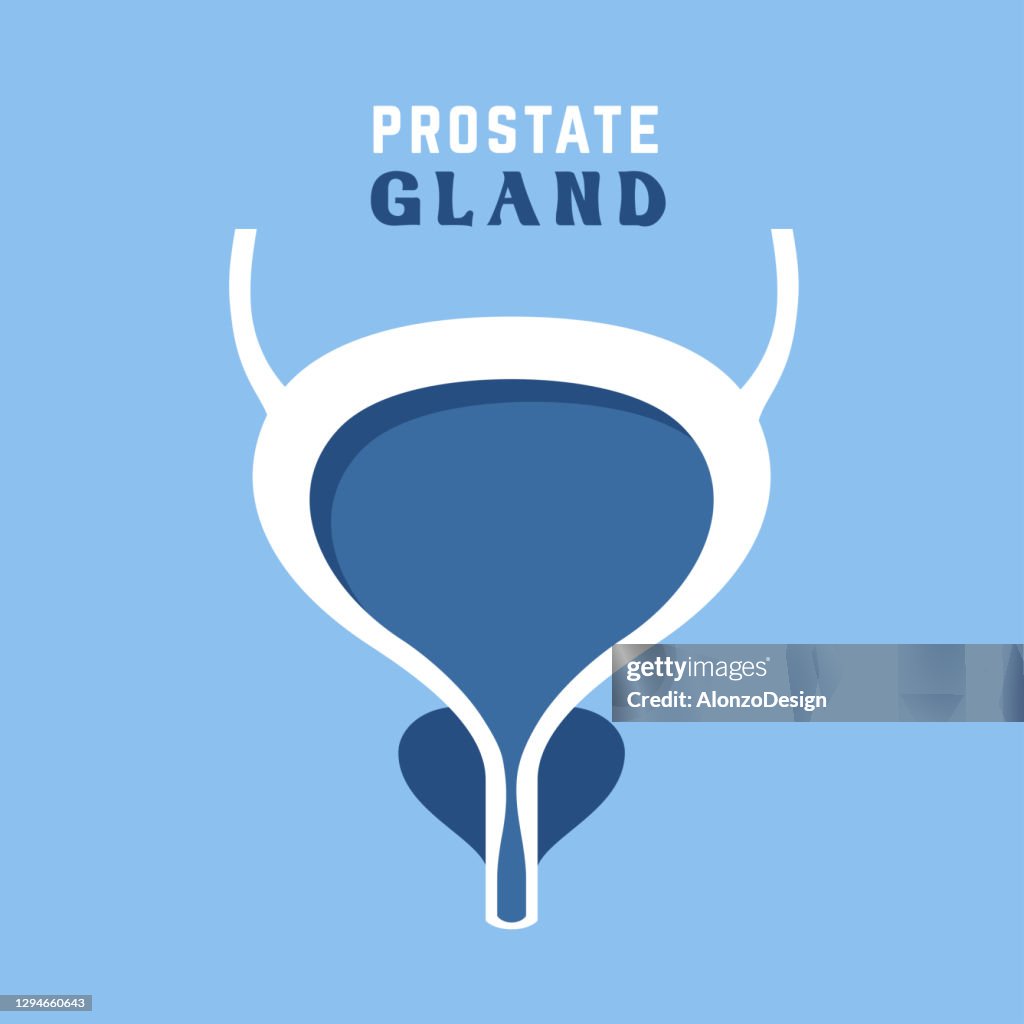 前立腺および尿膀胱