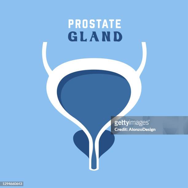 prostate and urinary bladder - bulk test stock illustrations