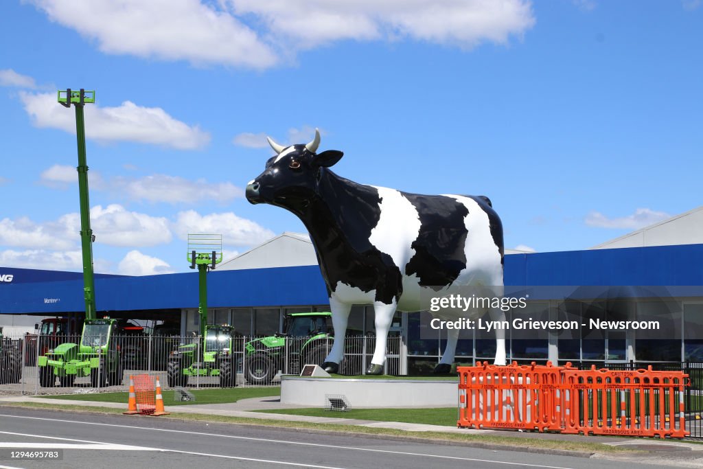 The Morrinsville Mega Cow
