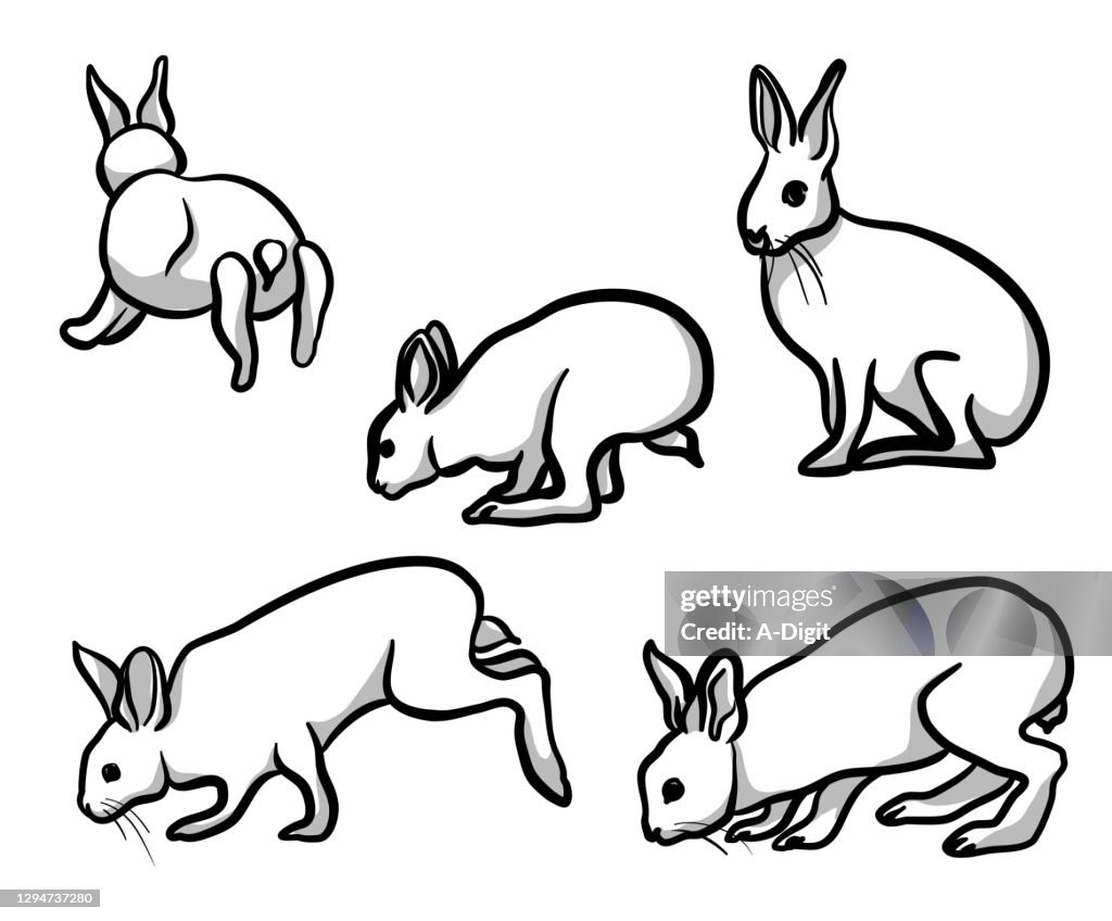 Rabbit In Action Rabbits In Action High-Res Vector Graphic - Getty Images