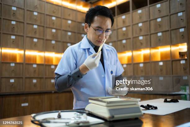 young adult chinese  acupuncture doctor prepare traditional chinese medicine and herb - médecine chinoise par les plantes photos et images de collection