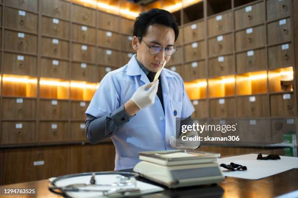 young adult chinese acupuncture doctor prepare traditional chinese medicine and herb - chinese herbal medicine stock pictures, royalty-free photos & images