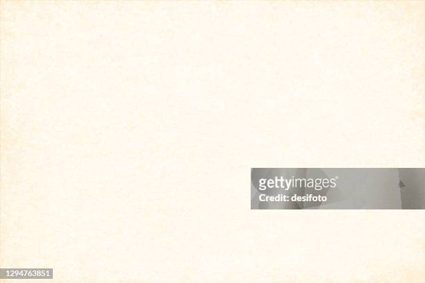 empty blank light cream or beige coloured grunge textured vector backgrounds - beige stock illustrations