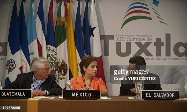 Vice-foreign minister of El Salvador, Carlos Castaneda speaks with Mexican foreign minister, Patricia Espinosa and Guatemalan, Haroldo Rodas during a...