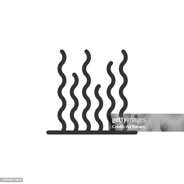 sea weed line icon - squid stock illustrations