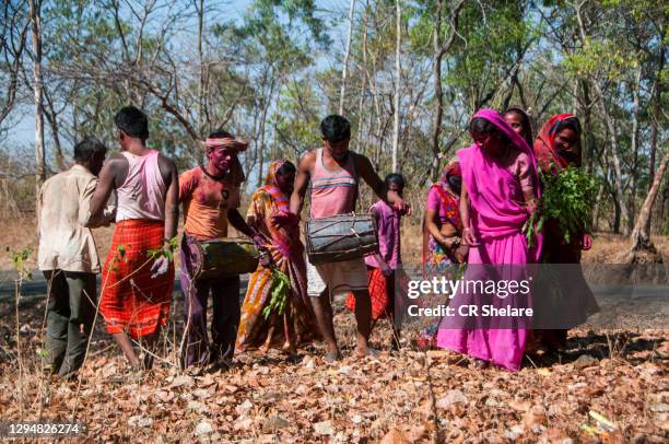 Korku Photos and Premium High Res Pictures Getty Images