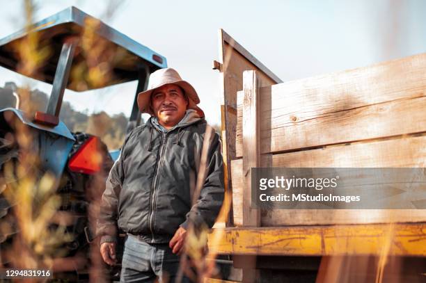 porträt des hispanischen arbeiters - entwicklungsland und arbeit stock-fotos und bilder