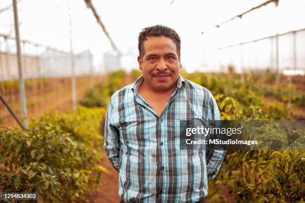 ritratto di bracciante agricolo sorridente - farm worker foto e immagini stock