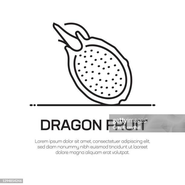 dragon fruit vector line icon - simple thin line icon, premium quality design element - dragon fruit slice stock illustrations