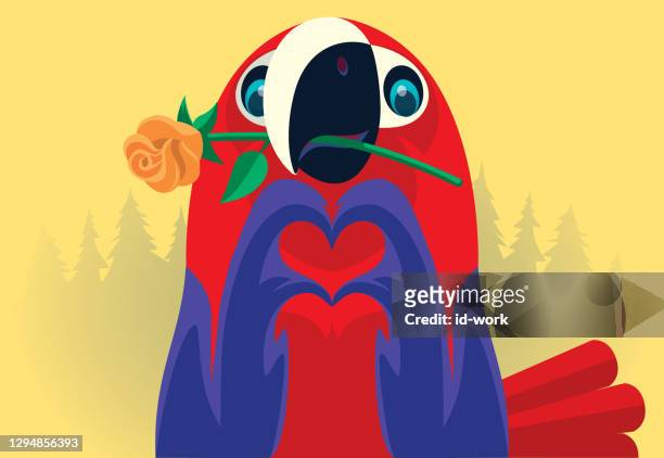 stockillustraties, clipart, cartoons en iconen met papegaai die bloem en gesturing hartvorm houdt - iemand een plezier doen