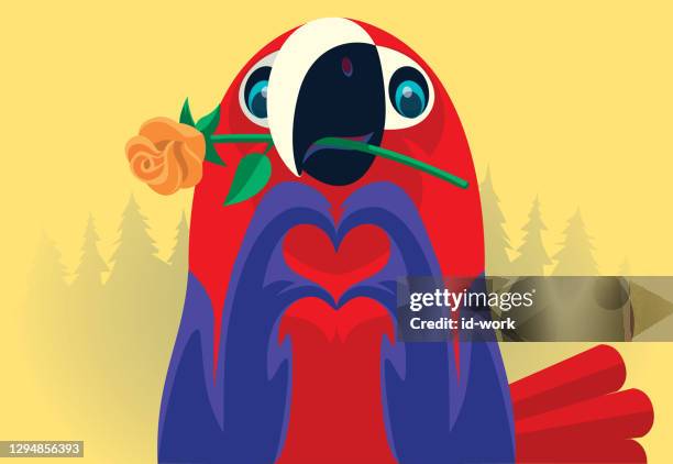 parrot holding flower and gesturing heart shape - doing a favour stock illustrations