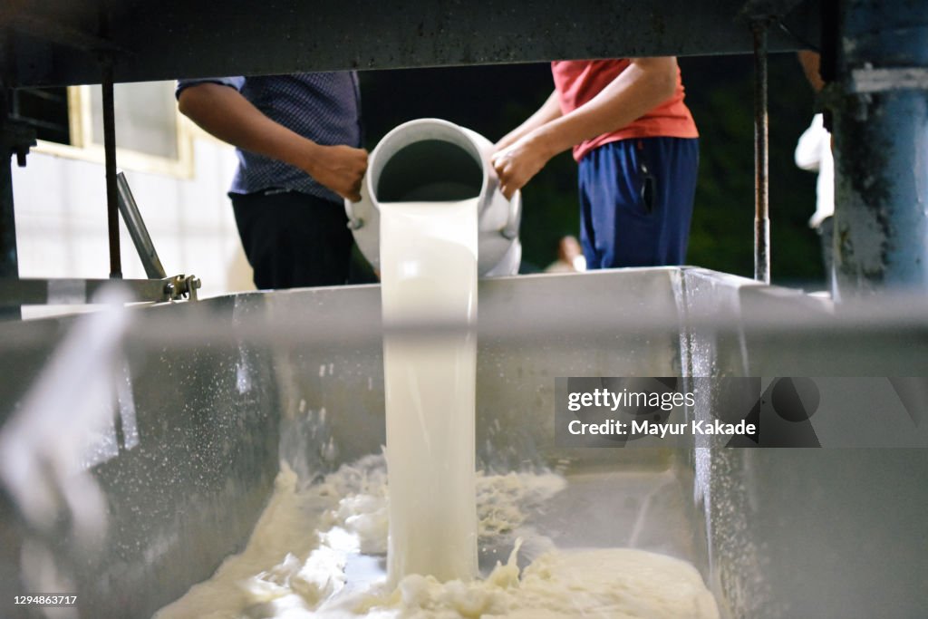 Milk container being poured into the inlet tank in the dairy