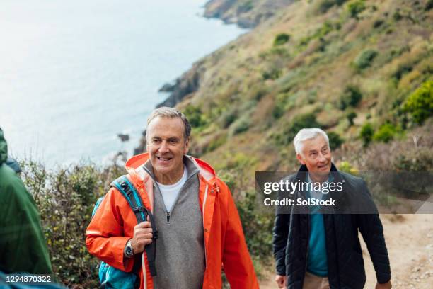 a tour of the cornish coast - looking around stock pictures, royalty-free photos & images