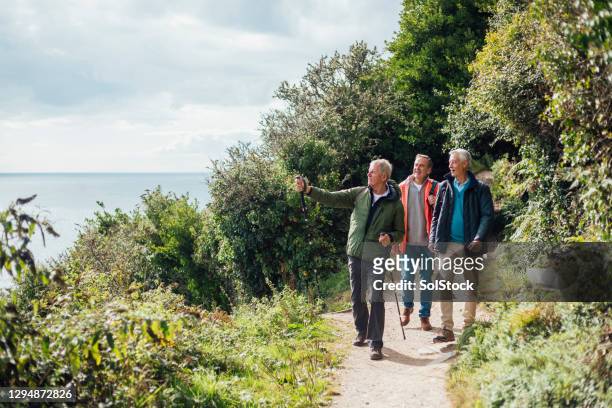 look at that view! - group of mature men stock pictures, royalty-free photos & images