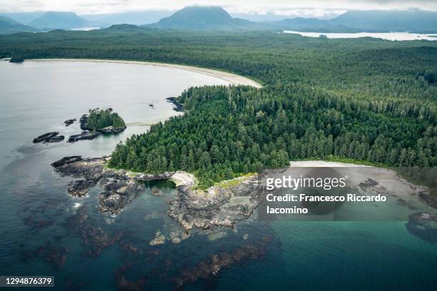 aerial view of tofino coastline, pacific rim national park, vancouver island, british columbia, canada. - vancouver island stock pictures, royalty-free photos & images