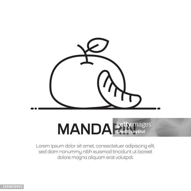 mandarin vector line icon - simple thin line icon, premium quality design element - mandarin orange stock illustrations