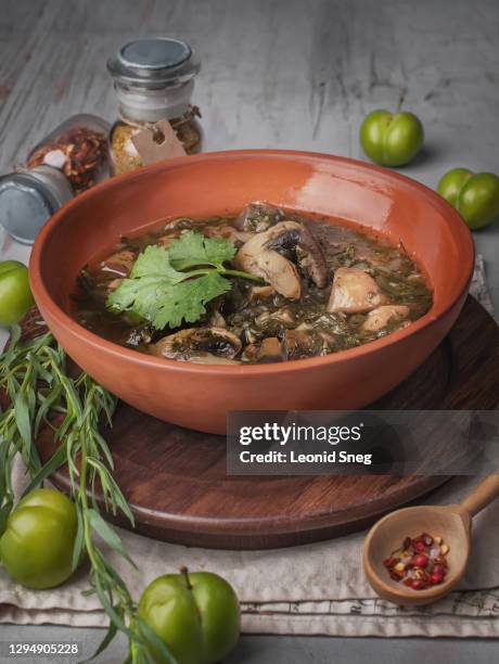 food photography of traditional georgian thick spicy mushroom soup side view with tarragon and green plums (tkemali) on gray textured background close up. first course - dragon stockfoto's en -beelden