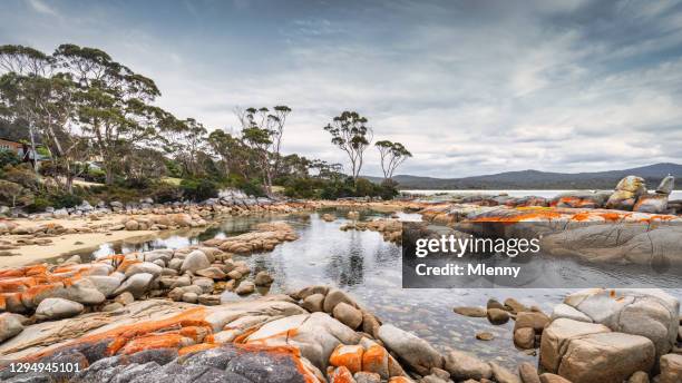 tasmanien bucht der brände australien panorama tas - tasmania landscape stock-fotos und bilder