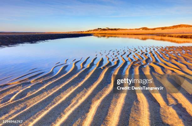 first encounter beach auf cape cod bei low tide - ebbe stock-fotos und bilder