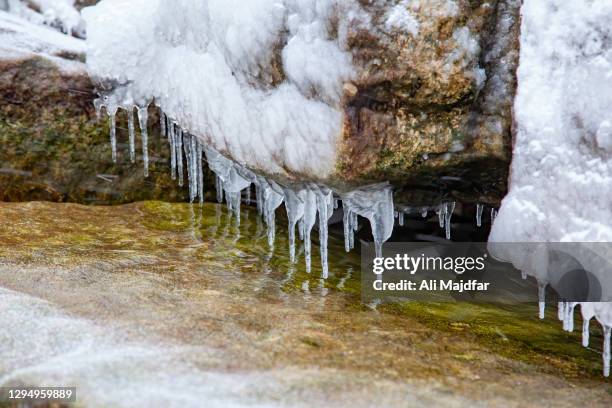 icicles on lake erie shore - algerie stockfoto's en -beelden