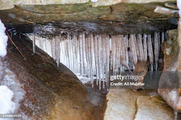 icicles on lake erie shore - algerie stockfoto's en -beelden