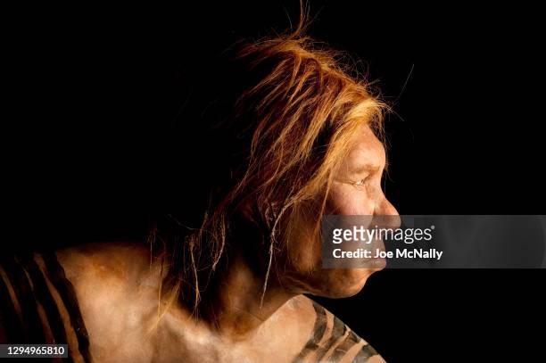 The Neanderthal woman was re-created and built by Dutch artists Andrie and Alfons Kennis. Research including fossil anatomy and a detailed study of...