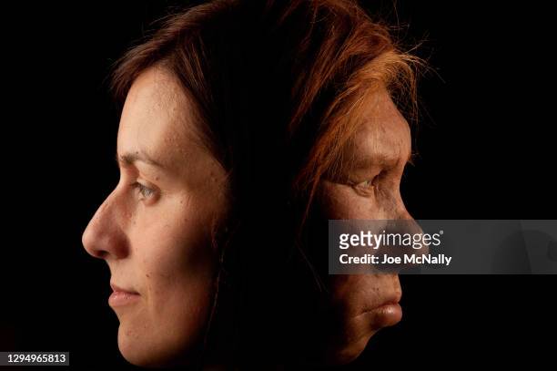 The Neanderthal woman was re-created and built by Dutch artists Andrie and Alfons Kennis. They used replicas of a pelvis and cranial anatomy from...