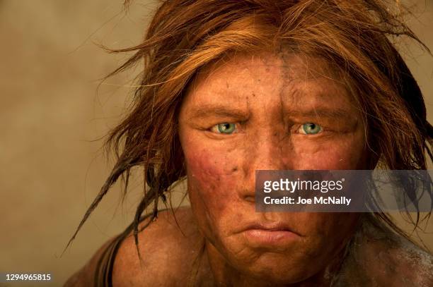 The Neanderthal woman was re-created and built by Dutch artists Andrie and Alfons Kennis. Research including fossil anatomy and a detailed study of...