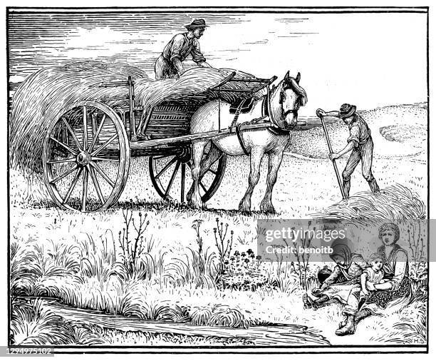stockillustraties, clipart, cartoons en iconen met het oogsten van hooi - wagen getrokken door een dier