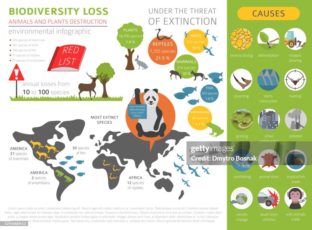 Environmental Protection Issues Global Environmental Problems Biodiversiry Loss Infographic Plants And ...