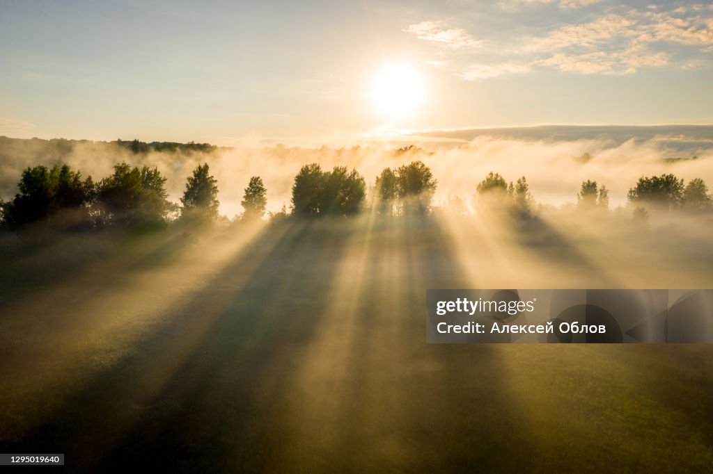 Early morning landscape. Foggy river. River valley in the morning fog at sunrise. View from above. Rays of the sun breaking through the fog in over the trees