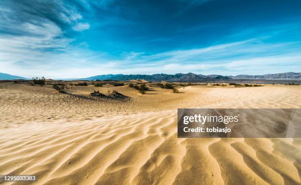 dunas de arena en el valle de la muerte - valle de la muerte fotografías e imágenes de stock