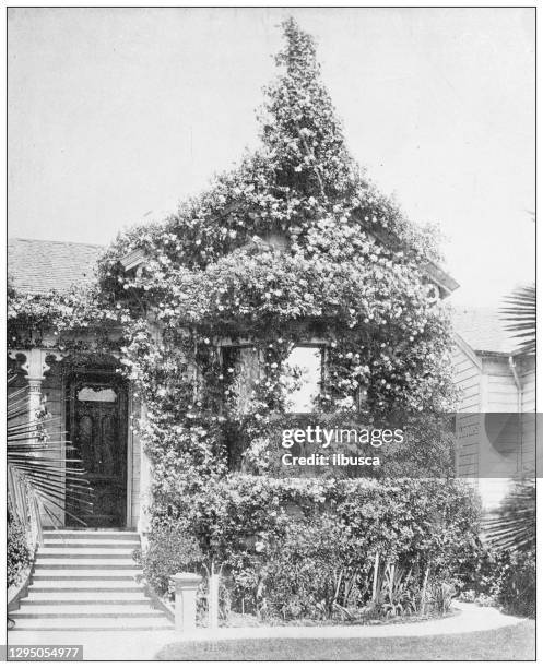 antique photograph: roses cottage, los angeles, california - iconic los angeles stock illustrations