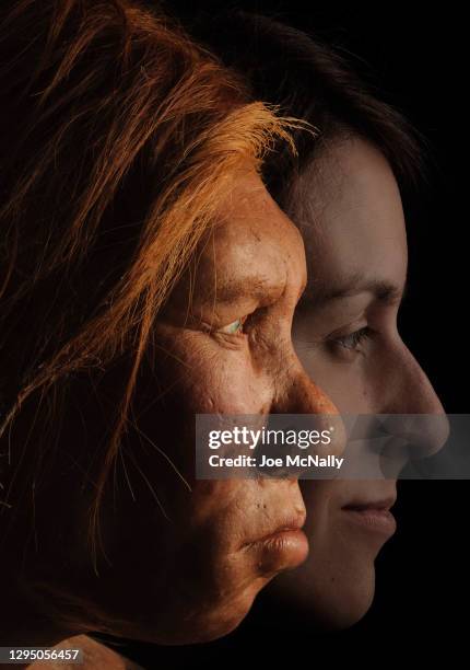 The Neanderthal woman was re-created and built by Dutch artists Andrie and Alfons Kennis. They used replicas of a pelvis and cranial anatomy from...