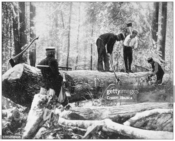 antikes foto: lumberjacks, river ottawa, kanada - holzfäller stock-grafiken, -clipart, -cartoons und -symbole