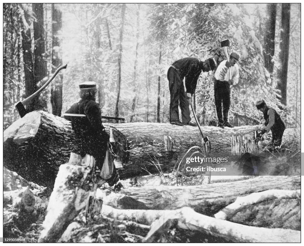 Antique photograph: Lumberjacks, River Ottawa, Canada