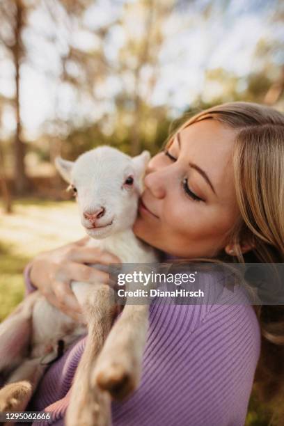 mooie jonge blonde vrouw die met haar leuke pasgeboren vier uur oud klein lam knuffelt - lammetje stockfoto's en -beelden