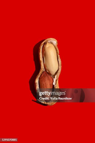 one halved peanut on the red background - stillleben stock-fotos und bilder