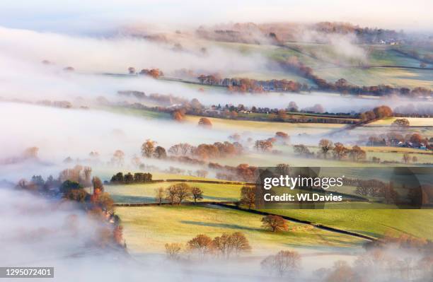 campagna nella nebbia - galles meridionale foto e immagini stock