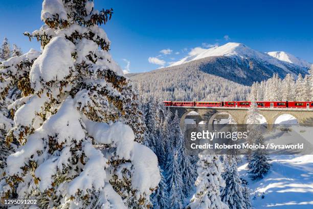 snow capped trees surrounding bernina express train, switzerland - winter wonder land stockfoto's en -beelden