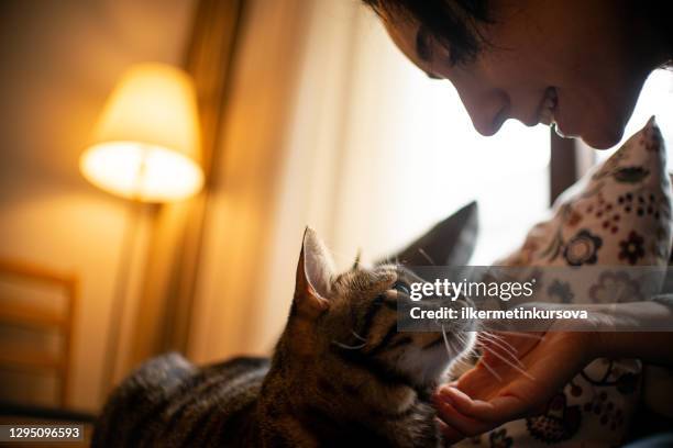 young woman playing with her cat - woman holding kitten stock pictures, royalty-free photos & images
