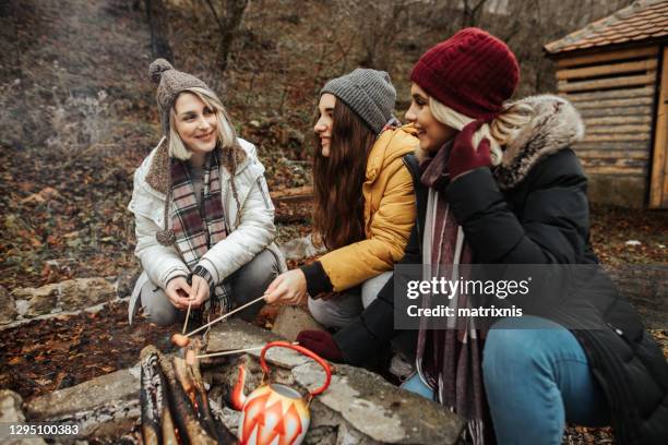 trois jeunes femelles par le feu de joie - bbq winter photos et images de collection