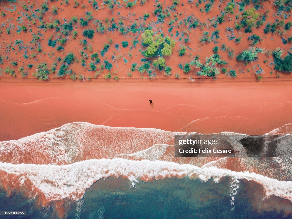 Aerial view of a solo man walking on a bright rusty red sandy beach